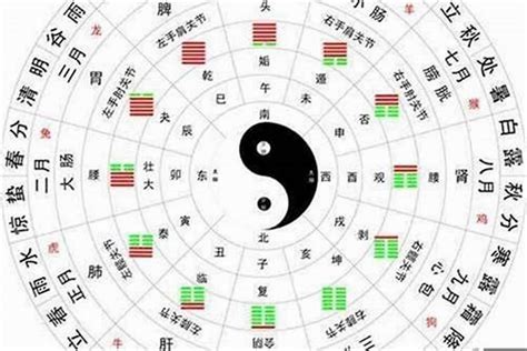 五行重金|八字中的五行金该如何理解 八字五行金旺的人忌讳什么